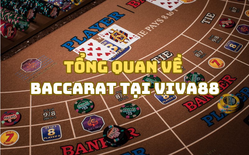 Tìm hiểu về trò chơi Baccarat tại Viva88