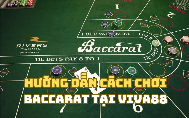 Chi tiết cách chơi Baccarat Viva88