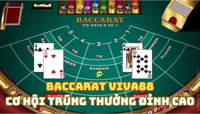 Hướng dẫn cách chơi Baccarat Viva88