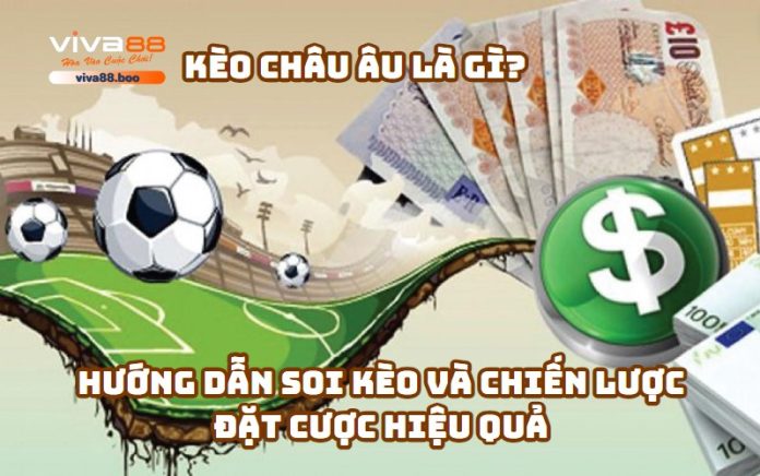 Kèo châu Âu là gì? Hướng dẫn soi kèo châu Âu